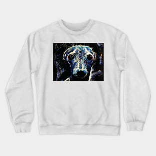 dog Crewneck Sweatshirt